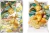 Dream2.webp